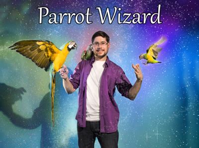 Parrot Wizard - Parrot Training, Shows, & Consultations by Michael …