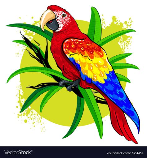 Parrot drawing. Things To Know About Parrot drawing. 