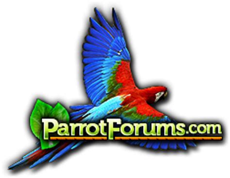 A forum community dedicated to parrot owners and