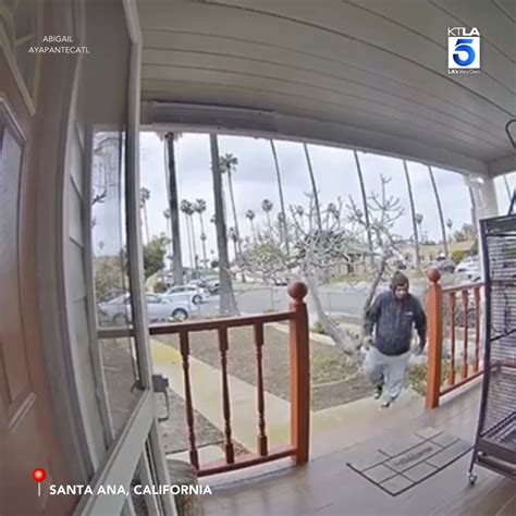 Parrot worth $2,500 stolen off porch in Santa Ana 