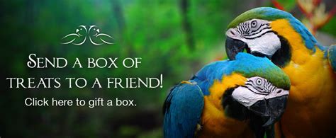 Parrotbox Pet Supplies, Bird Toys and Parrot Supplies Australia