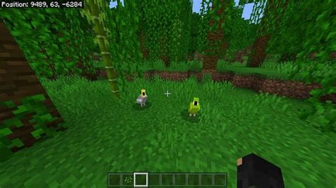 Parrots in Minecraft Spawning Behavior Drops