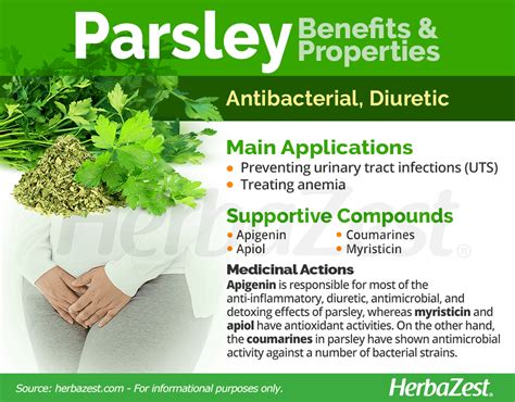 Parsley: properties and benefits for our health