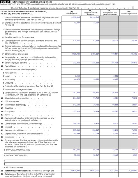 Part IX Statement of Functional Expenses Form 990 Dustin K MacDonald