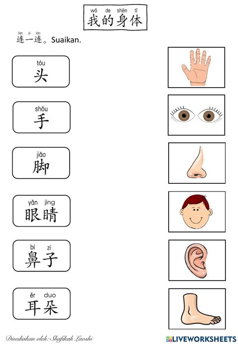 Part Of Body Chinese Worksheet Mandarin Chinese Learning Chinese Language Learning Chinese Language