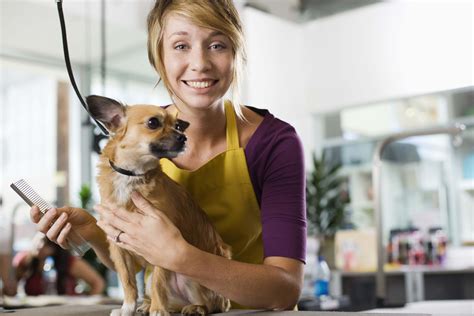 3,252 Part Time Dog Groomer jobs available on Indeed.com. Apply to Pet Groomer, Pet Bather, Dog Walker and more!