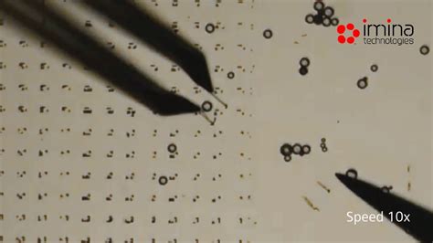 Particles Manipulation and Sorting with a Micro Gripper on a Mobile Robot YouTube