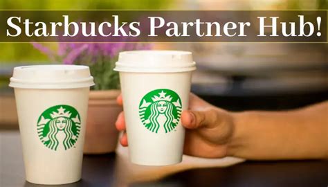Partner hub for starbucks. Things To Know About Partner hub for starbucks. 