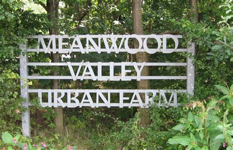 Partner profile: Meanwood Valley Urban Farm – 100% Digital Leeds