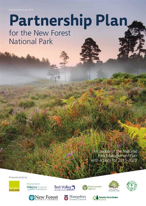 Partnership Plan - New Forest National Park Authority