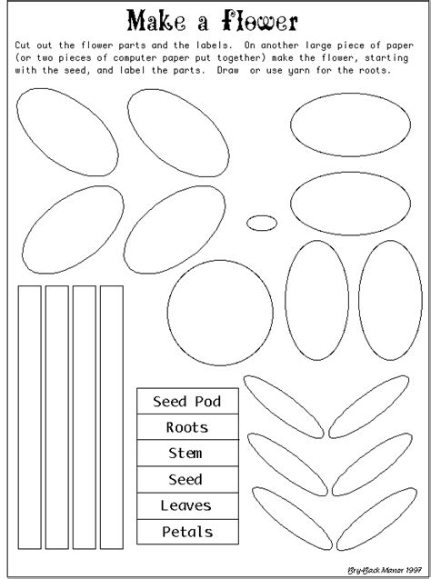 Parts Of A Flower Cut Out Teaching Resources TPT - TeachersPayTeachers