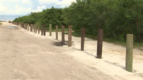 Parts of Gandy Beach blocked off to protect mangroves, …