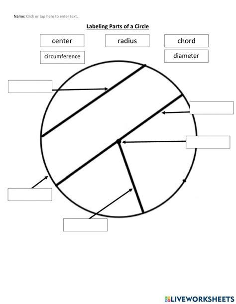 Parts of a Circle Worksheet Worksheets Library