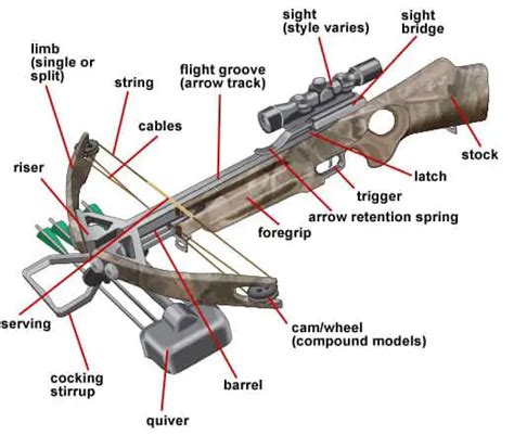 Parts of a Crossbow - 25 Vital Crossbow Parts You Should Know …