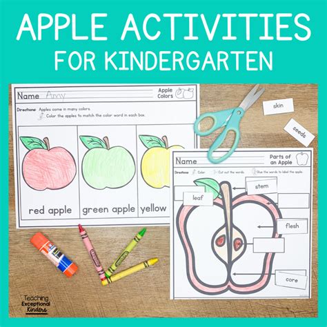 Parts of an Apple Learning Activity