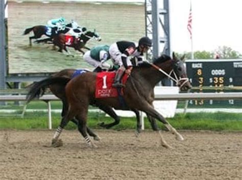 Parx equibase. Daily Double / Pick 3 (Races 7-8-9) / Exacta / 50 cent Trifecta 50 cent Pick 4 (Races 7-10) / 10 cent Superfecta. Parx Racing STARTER OPTIONAL CLAIMING $16,000 – $8,000. Purse $30,000. One Mile And Seventy Yards. (plus Up To 40% Pabf) For Three Year Olds And Upward Which Have Started For A Claiming Price Of $8,000 Or Less Since May 1, 2022 Or ... 