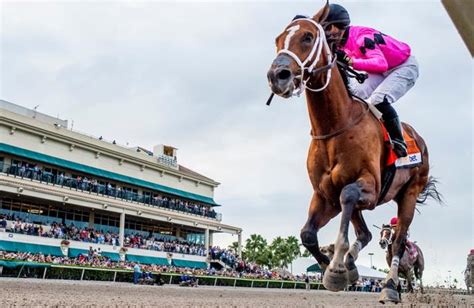 Parx racing equibase. Things To Know About Parx racing equibase. 