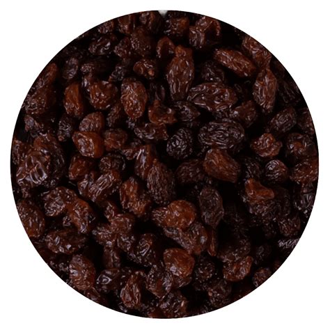 Pasa Halı ve Koltuk Yıkama