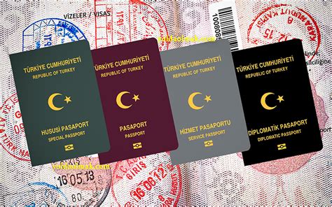 Pasaport renkleri ve özellikleri