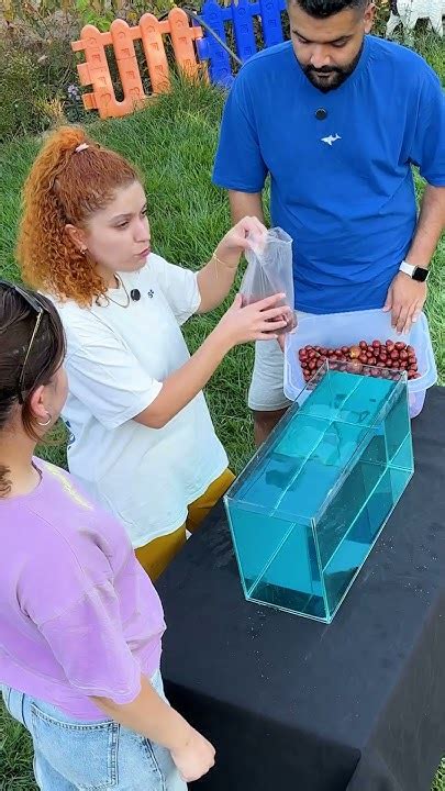 Pascal prensibi finito YouTube.