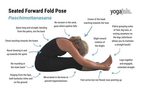 Paschimottanasana Seated Forward Bend Yoga Pose Steps Benefits …