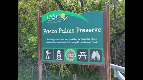 Pasco Palms Preserve - Wikipedia