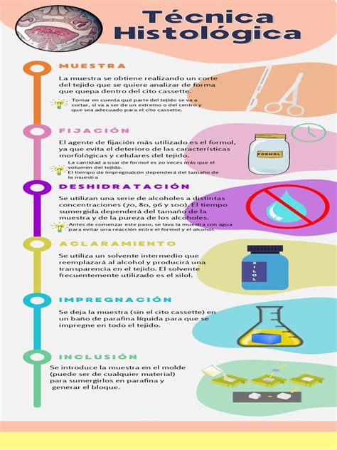 Pasos de la técnica histológica básica - SlideShare