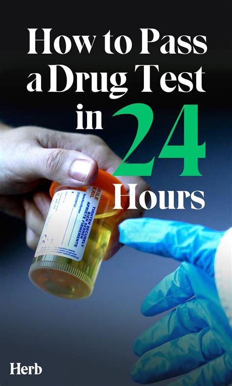 Pass A Drug Test 24 Hrs