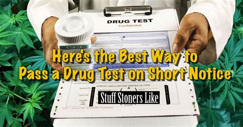 Pass A Drug Test On Short Notice