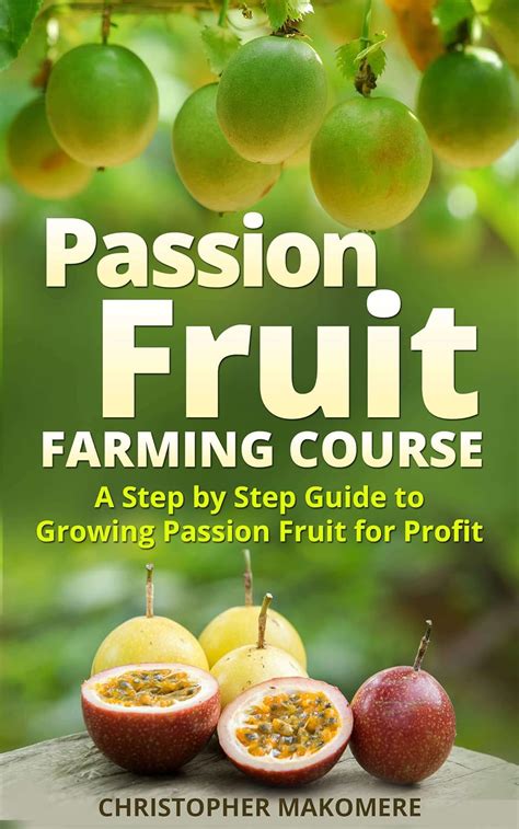 Passion fruit farming a step by step guide to growing passion fruits for massive profit. - Modeling structured finance cash flows with microsoftexcel a step by step guide wiley finance.