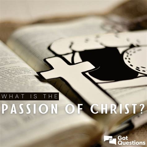 Passion of the christ study guide youth. - 2015 mercury efi 90 hp outboard manual.
