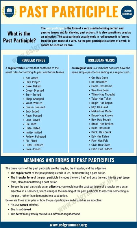 Past Participle Meanings and Different Forms of Past Participles