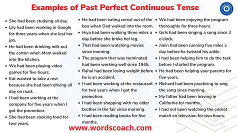 Past perfect continuous tense examples