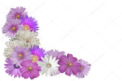 Pastel Flowers Border Pictures, Images and Stock Photos