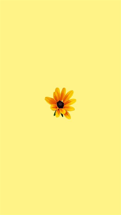Yellow Pastel Aesthetic Wallpapers. Tons of awesome yellow pastel aesthetic wallpapers to download for free. You can also upload and share your favorite yellow …. Pastel yellow aesthetic wallpaper laptop