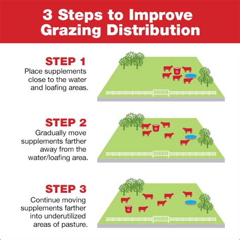 Pasture Management With Cattle Grazing Purina Animal