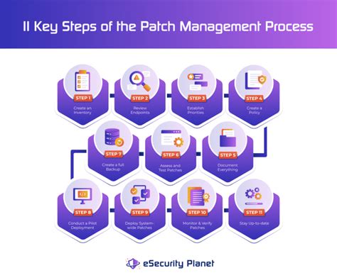 Patch Management Process Template Resume Examples