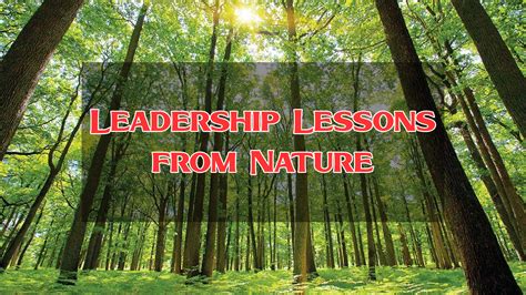 Path to Leadership Find the lesson in every experience