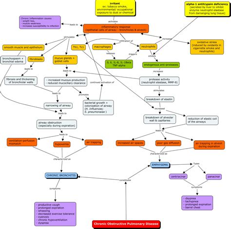 Patho Concept Map