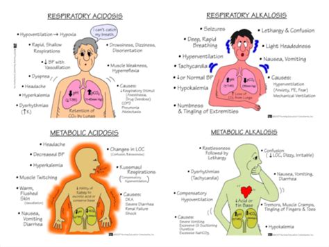 Patho Exam 8-12 Final Flashcards Quizlet