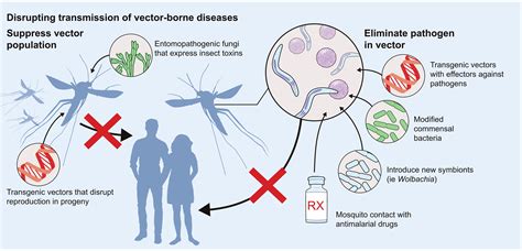 Pathogen Transmission Encyclopedia.com