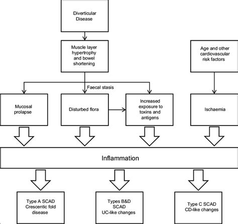 Pathophysiology(Diagram)