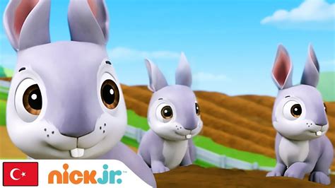 Pati Devriyesi Tavşan Problemi Nick Jr. YouTube.