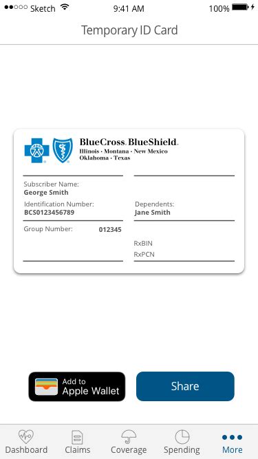 Patient ID Finder - dummy.bcbsil.com