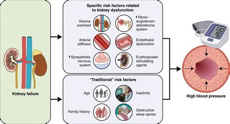 Patient survival and maintenance dialysis - UpToDate