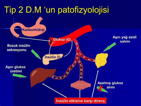 Patofizyolojisi diyabet