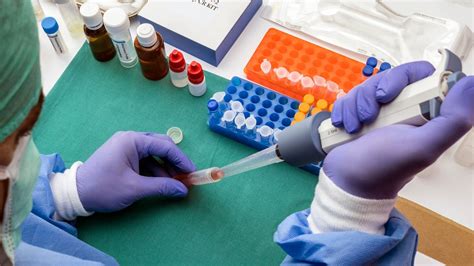 codini.rgarabwor.edu.pl. 