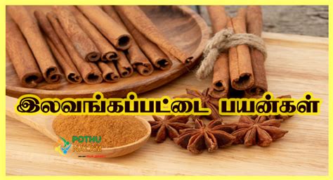 Pattai Benefits - இலவங்கப்பட்டை பயன்கள் …