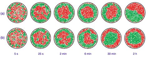 Pattern Formation within Immunological Synapse