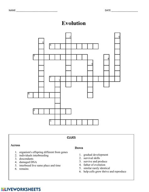 Patterns Of Evolution Worksheet Printable Word Searches